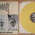 Master - Tape / Vinyl / CD / Recording etc - Master - Collection Of Souls LP 1993