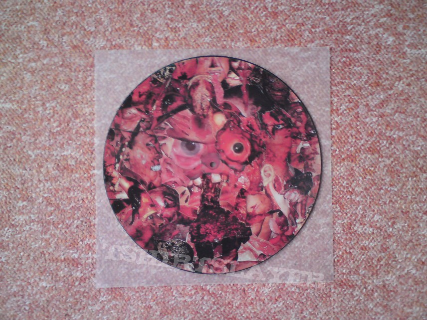 Carcass - Symphonies Of Sickness (Picture LP - Seite A).JPG