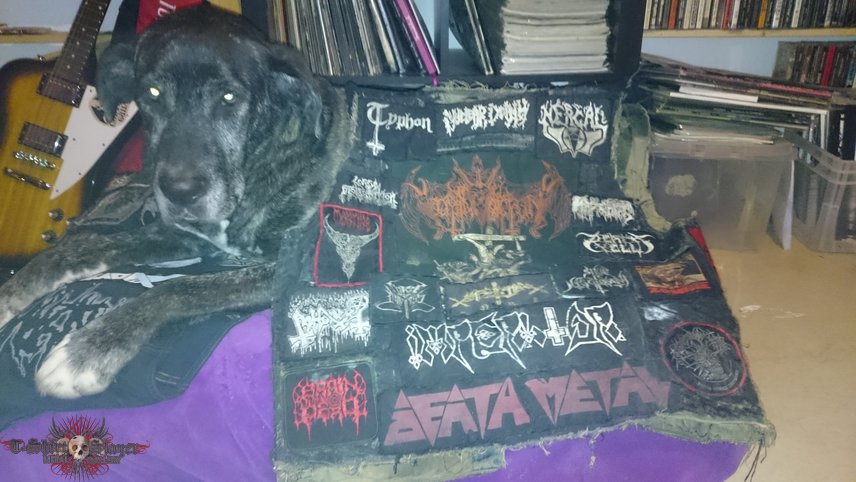 Merciless Death Vest and my IRON DOG