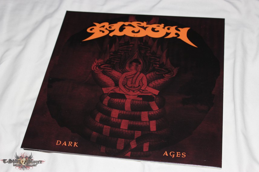 BISON - Dark Ages - Orange Vinyl