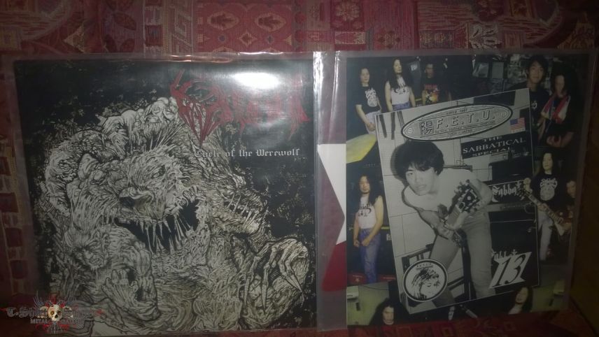 ARCHGOAT My vinyls