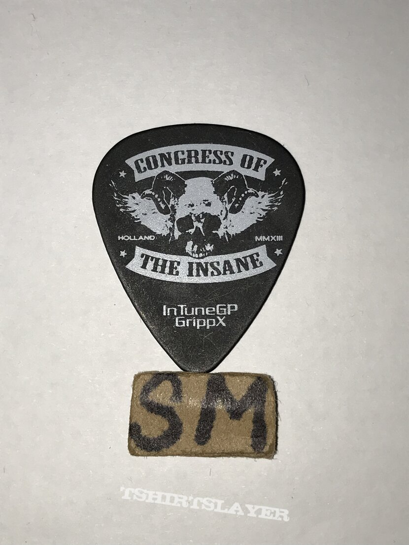 Izegrim guitar pick 