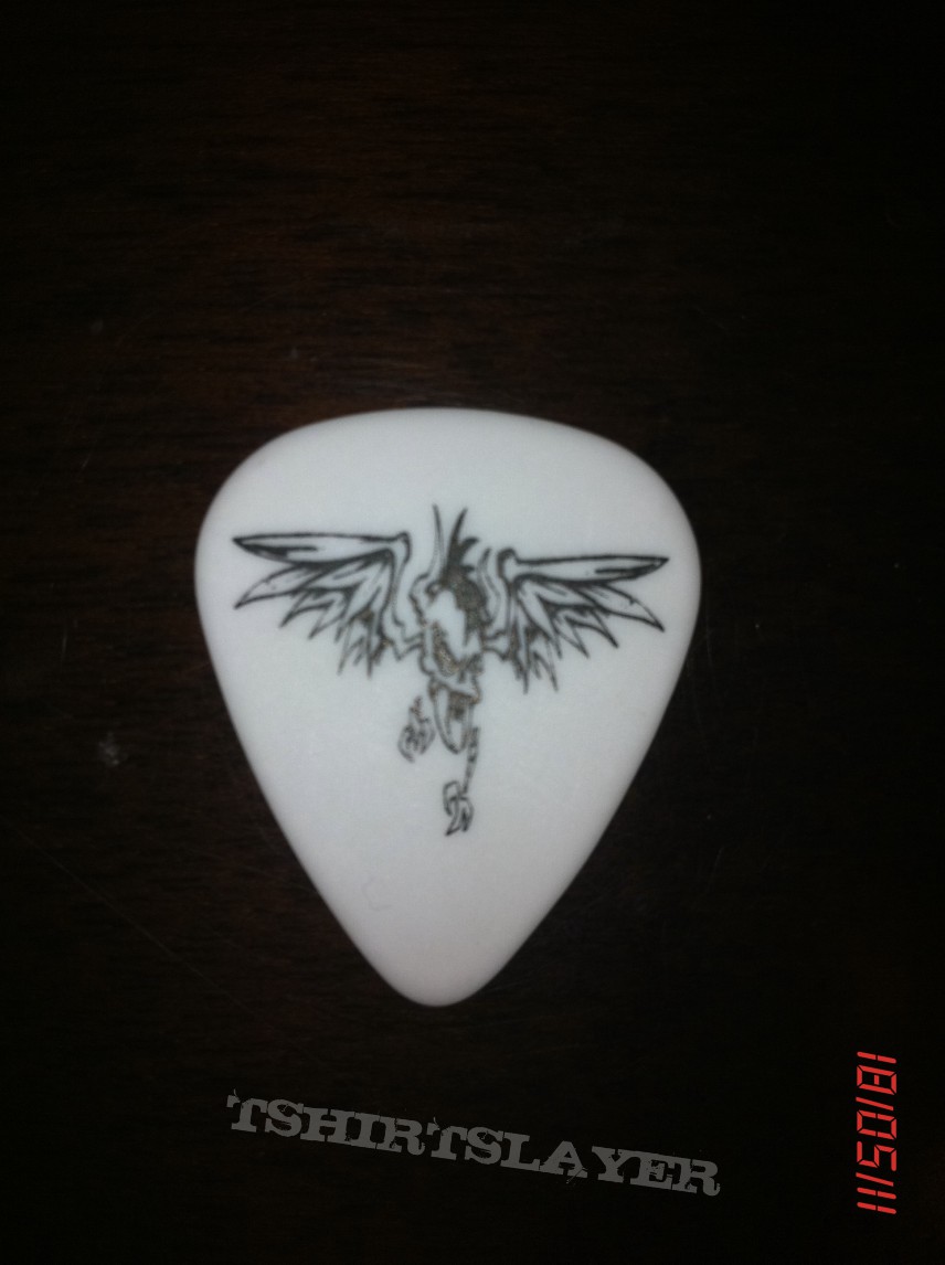 metallica hetfield pick summer 2008-front.jpg