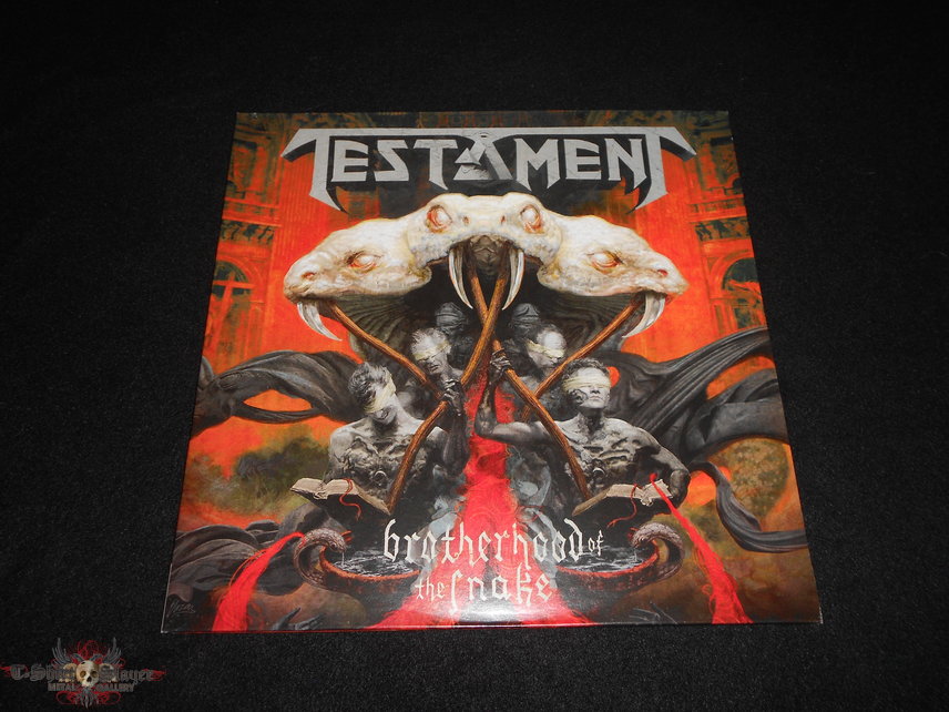  Testament / Brotherhood Of The Snake Orange LP