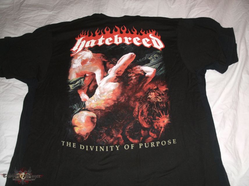 Hatebreed The Divinity of Purpose