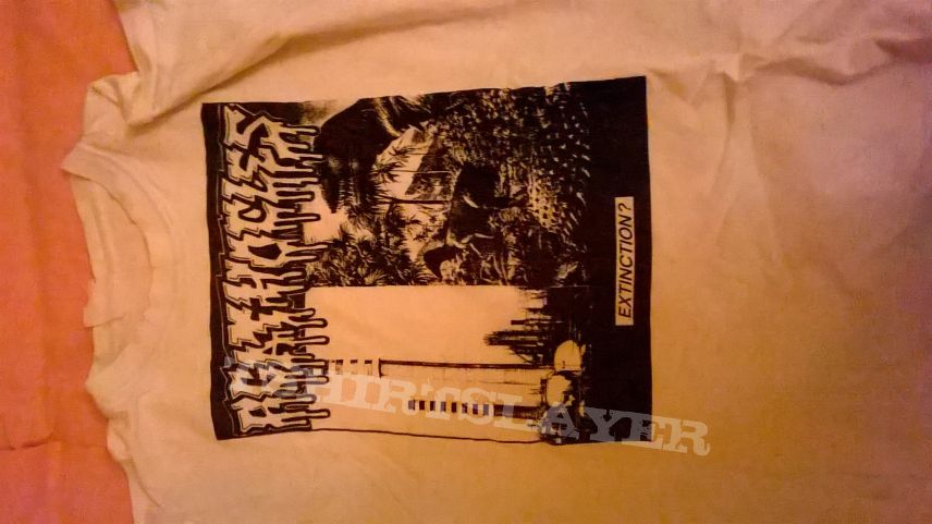 agathocles