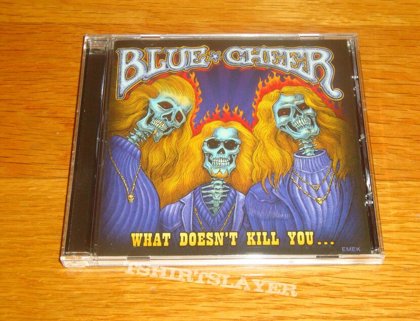 Blue Cheer - Blue Cheer – What Doesn&#039;t Kill You... CD