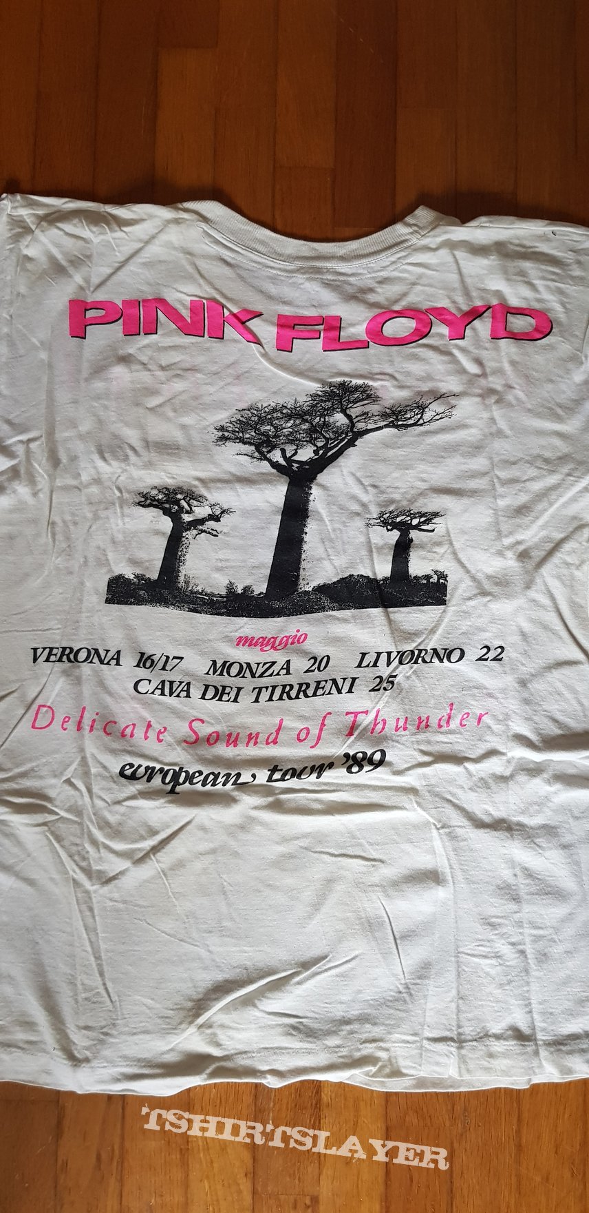 Pink Floyd - European Tour 1989