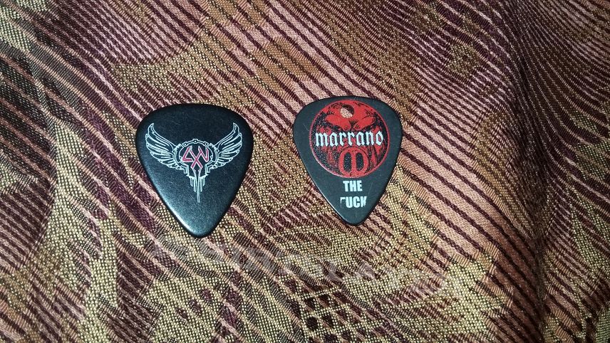 Guitar pics from local bands Alas Negras and Marrano 