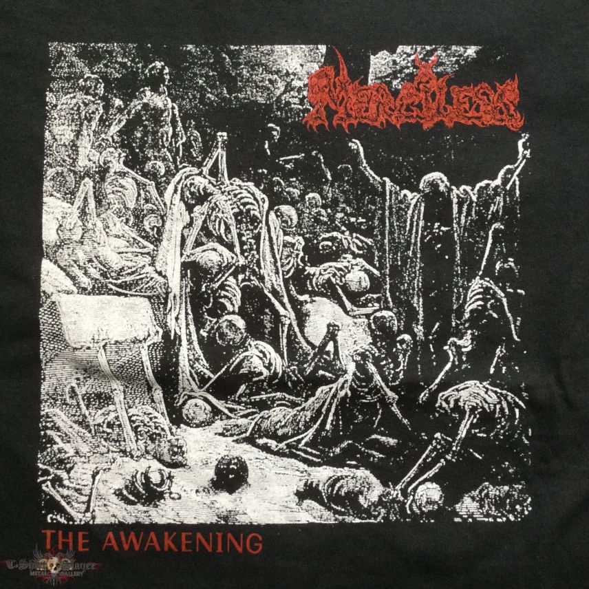 Merciless - The Awakening TS