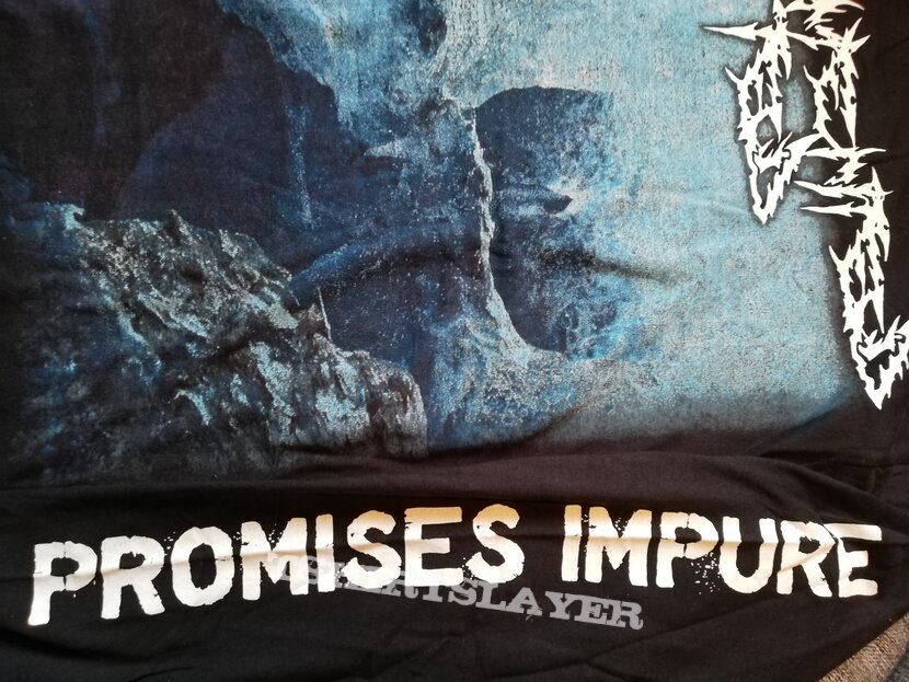 Demented Ted - Promises Impure