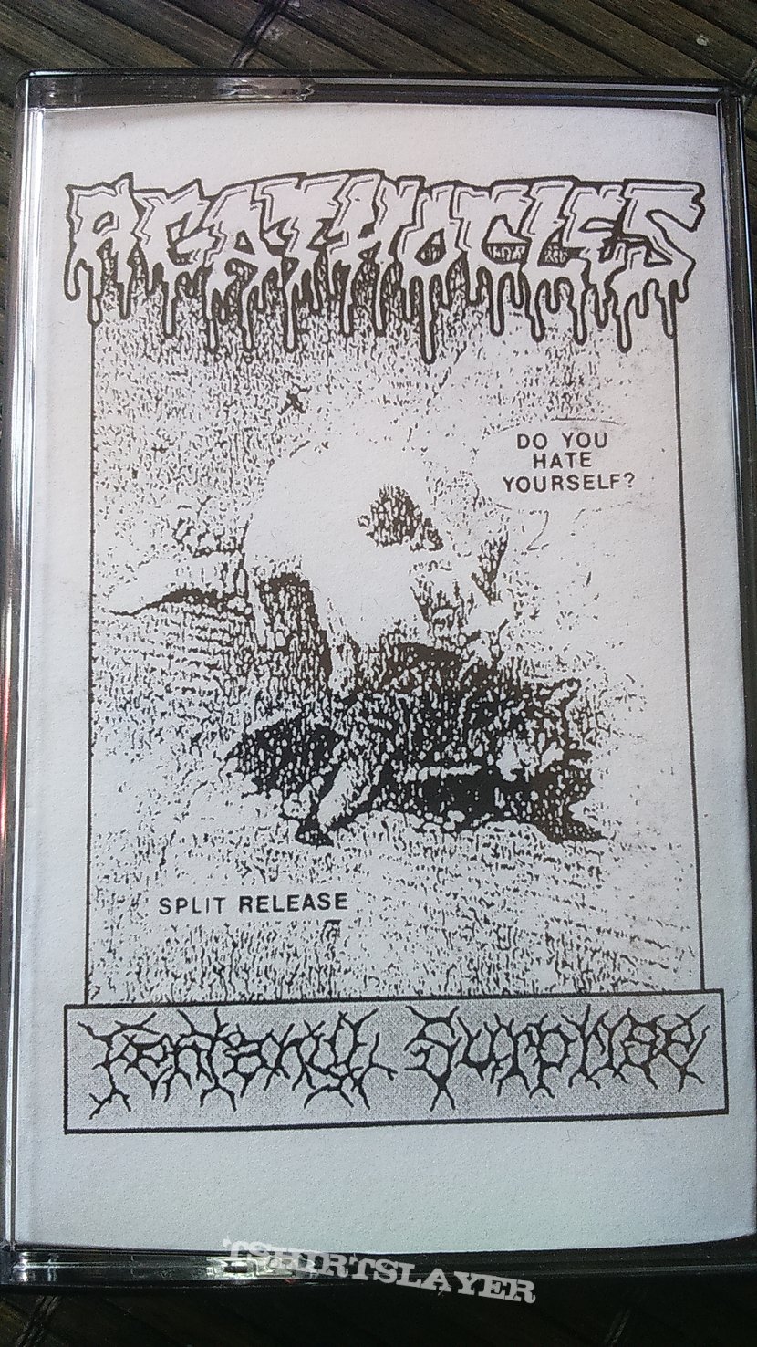 Fentanyl Surprise / Agathocles Split 