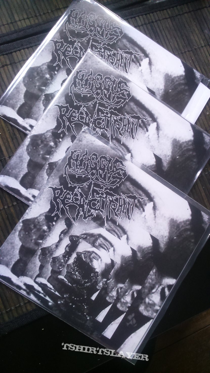 Haggus / Recalcitrant Split 