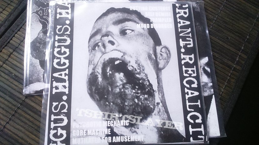 Haggus / Recalcitrant Split 