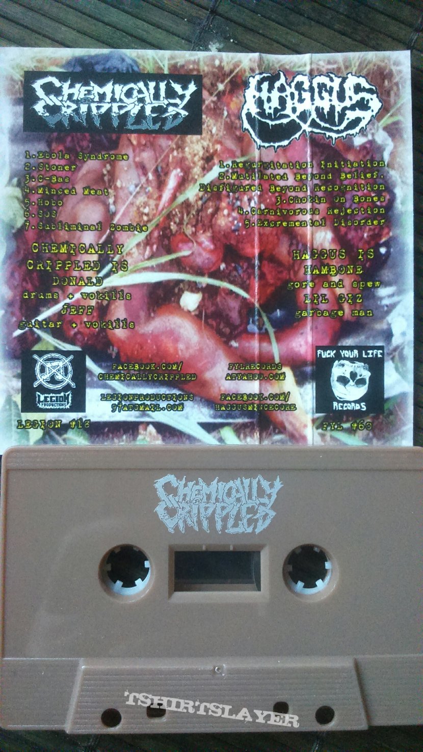 Haggus / Chemically Crippled Split 