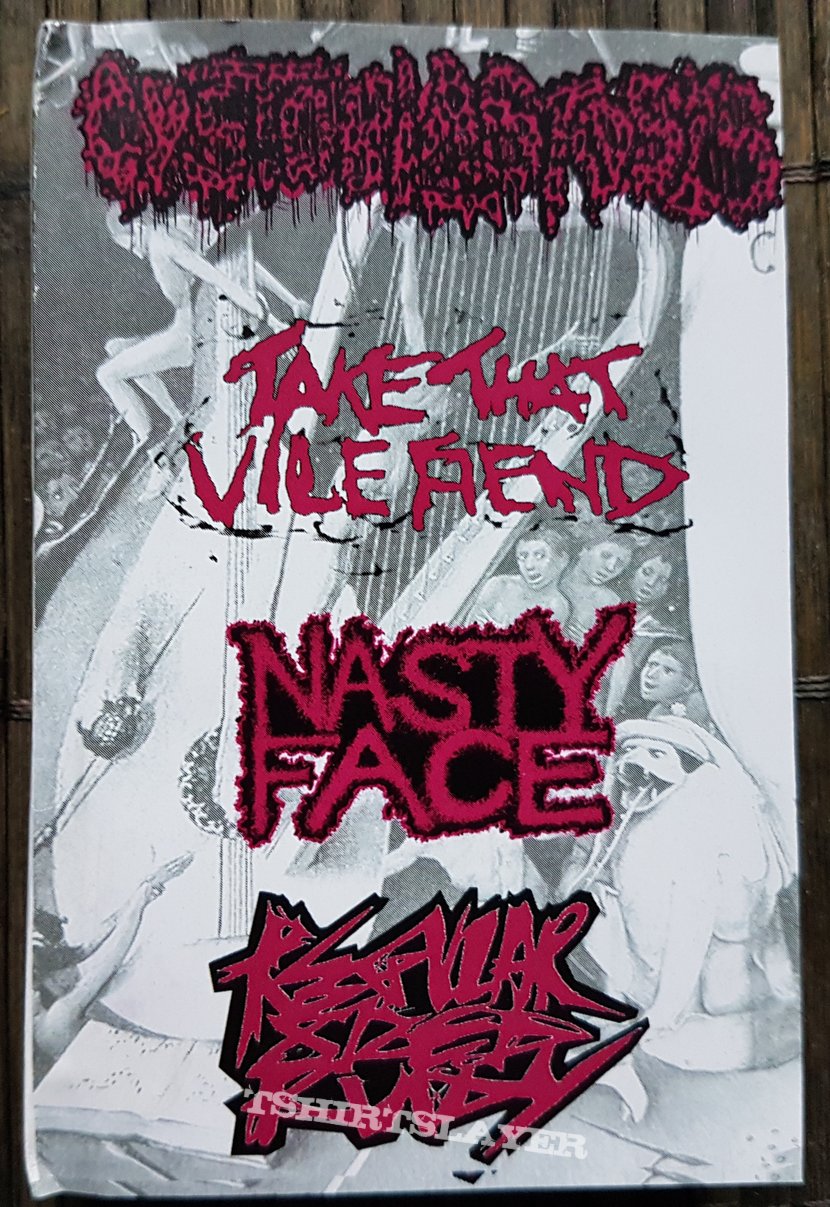 Nasty Face / Cystoblastosis / Take That Vile Fiend / Regular Sized Rudy Split 