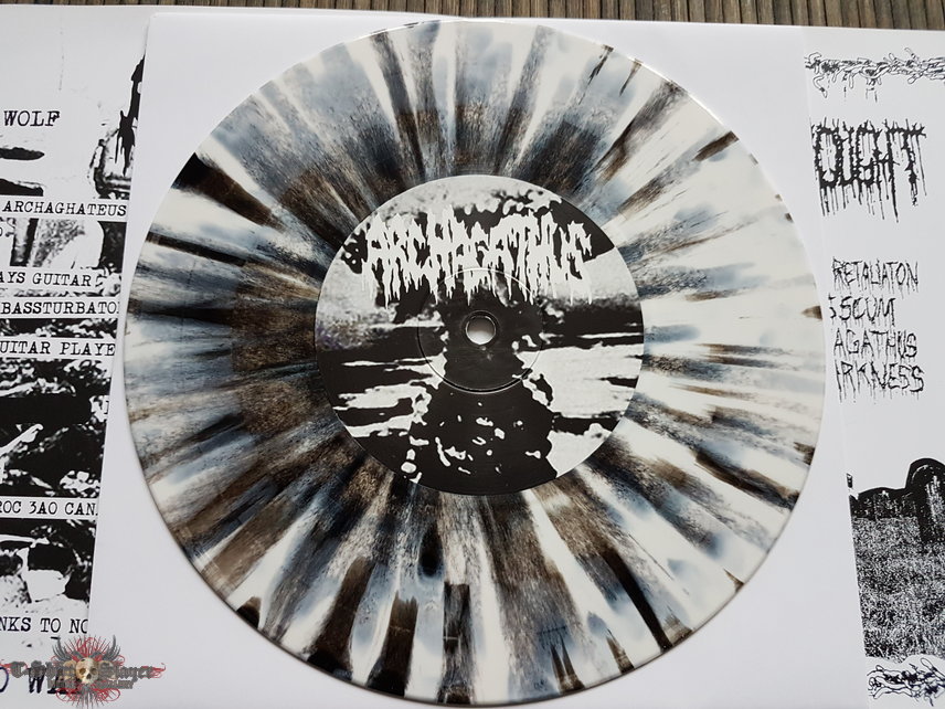 Archagathus / No Thought Split 