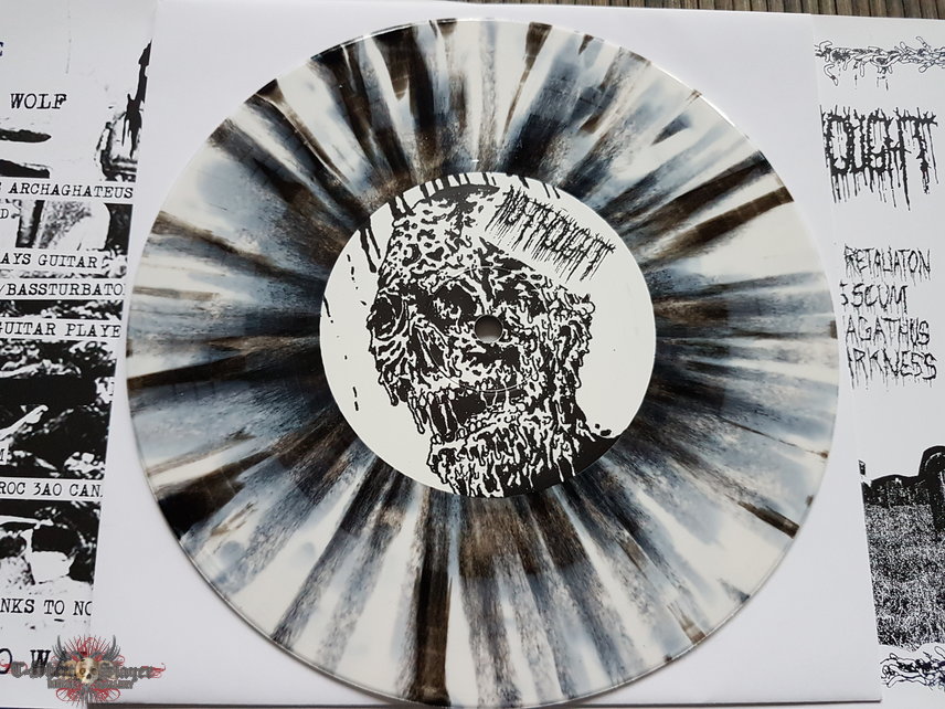 Archagathus / No Thought Split 