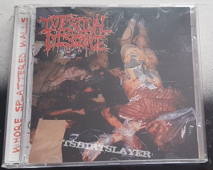 Intestinal Disgorge Whore splattered walls 