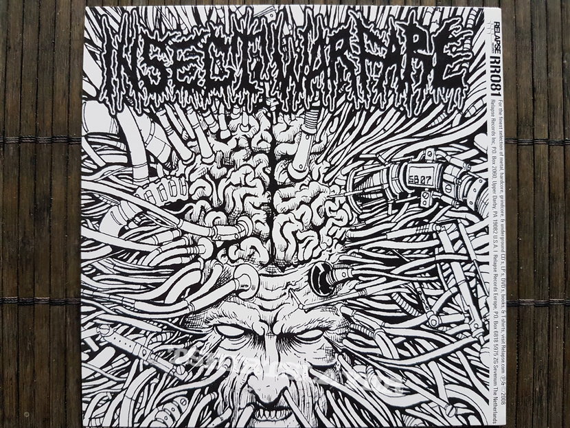 Agoraphobic Nosebleed / Insect Warfare Split 