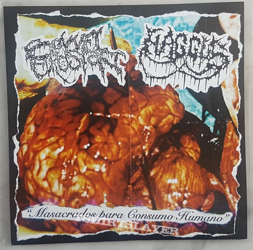 Haggus / Bowel Erosion Split Haggus / Bowel Erosion Split