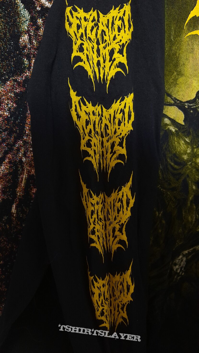 Defeated Sanity - Passages Into Deformity Longsleeve