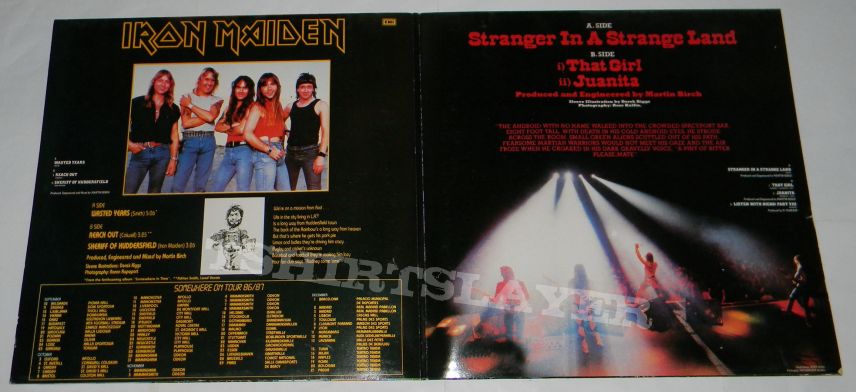 Iron Maiden - Wasted years / Stranger in a strange land - DoLP