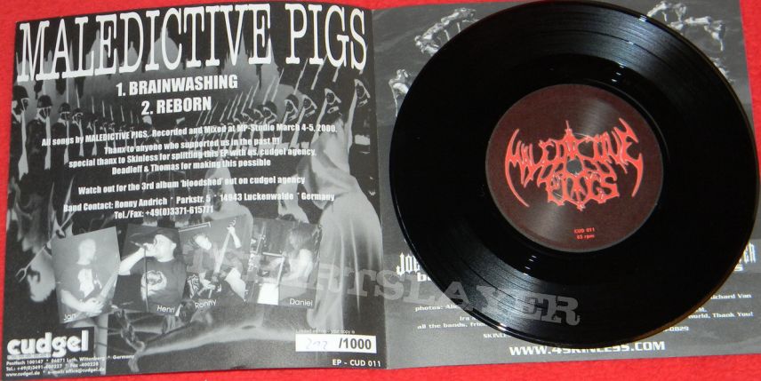 Maledictive Pigs / Skinless - Split Single