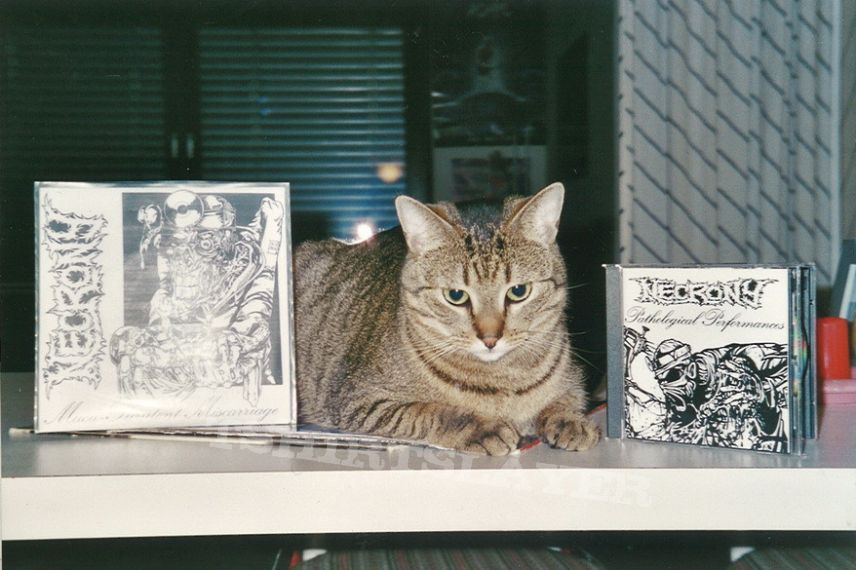 Other Collectable - Metal Cat&#039;s Favorite Releases