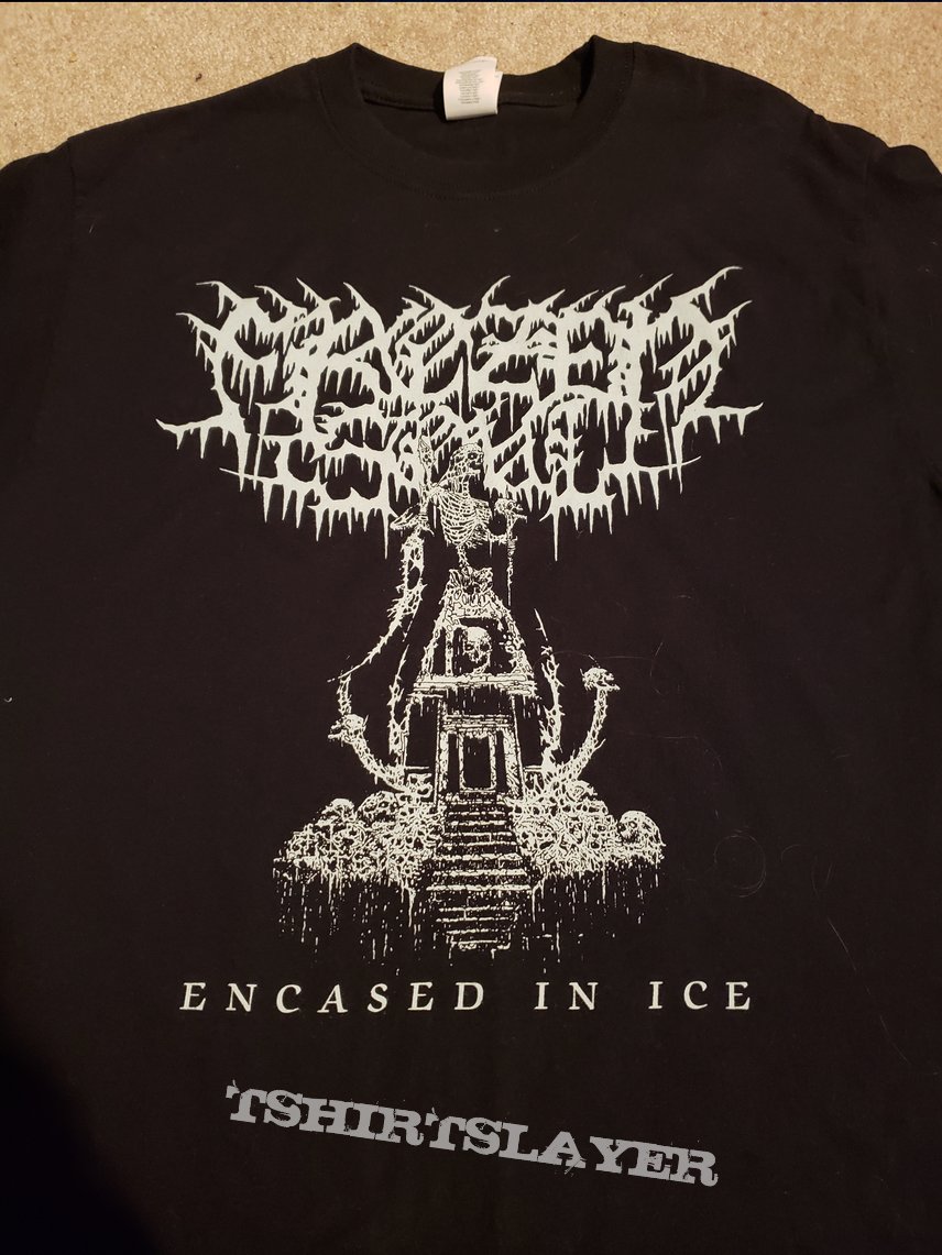 Frozen Soul - Encased In Ice