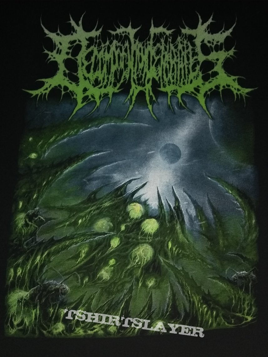 Decomposition of Entrails album cover shirt