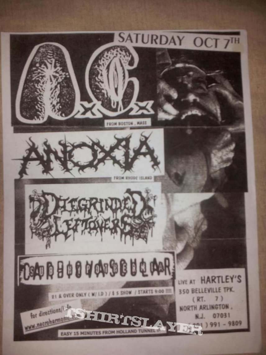 Anal Cunt flyer