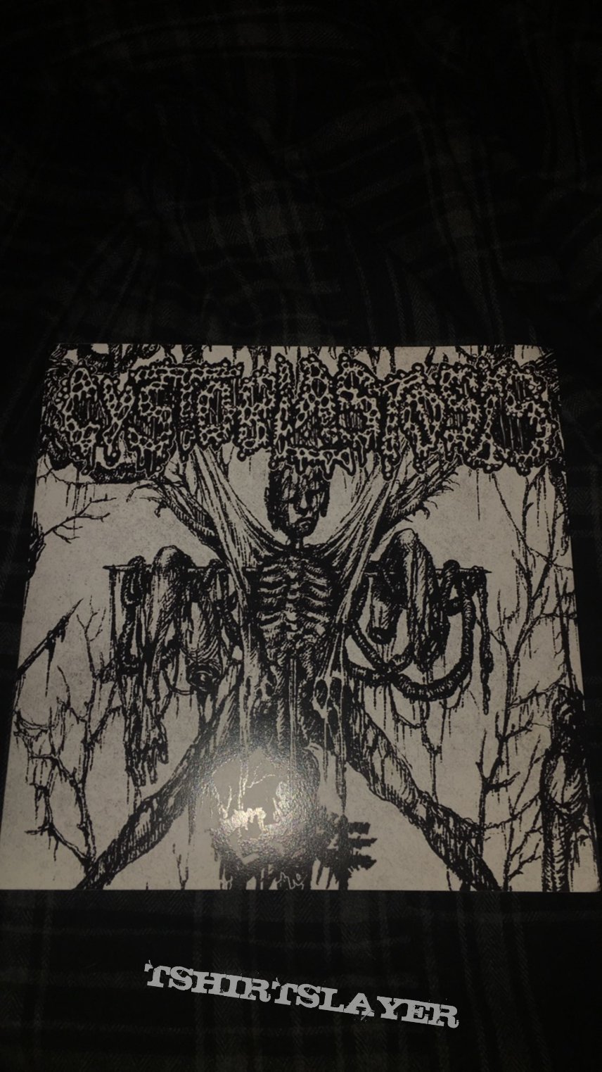 Cystoblastosis - Gore vinyl 