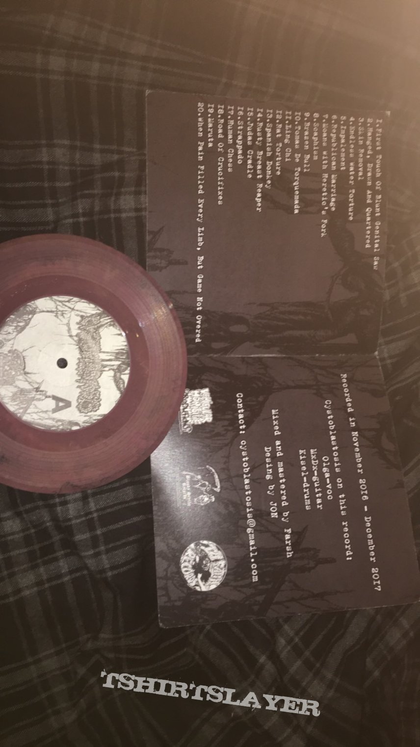 Cystoblastosis - Gore vinyl 