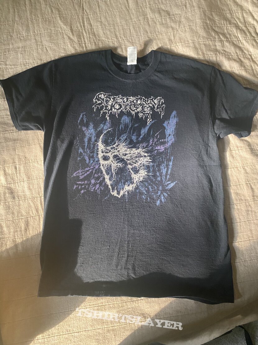 Spectral Voice Eroded Corridors Of Unbeing t-shirt | TShirtSlayer ...