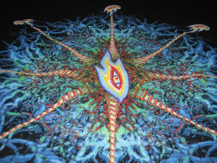 TShirt or Longsleeve - Tool - 'Nerve Endings' Shirt