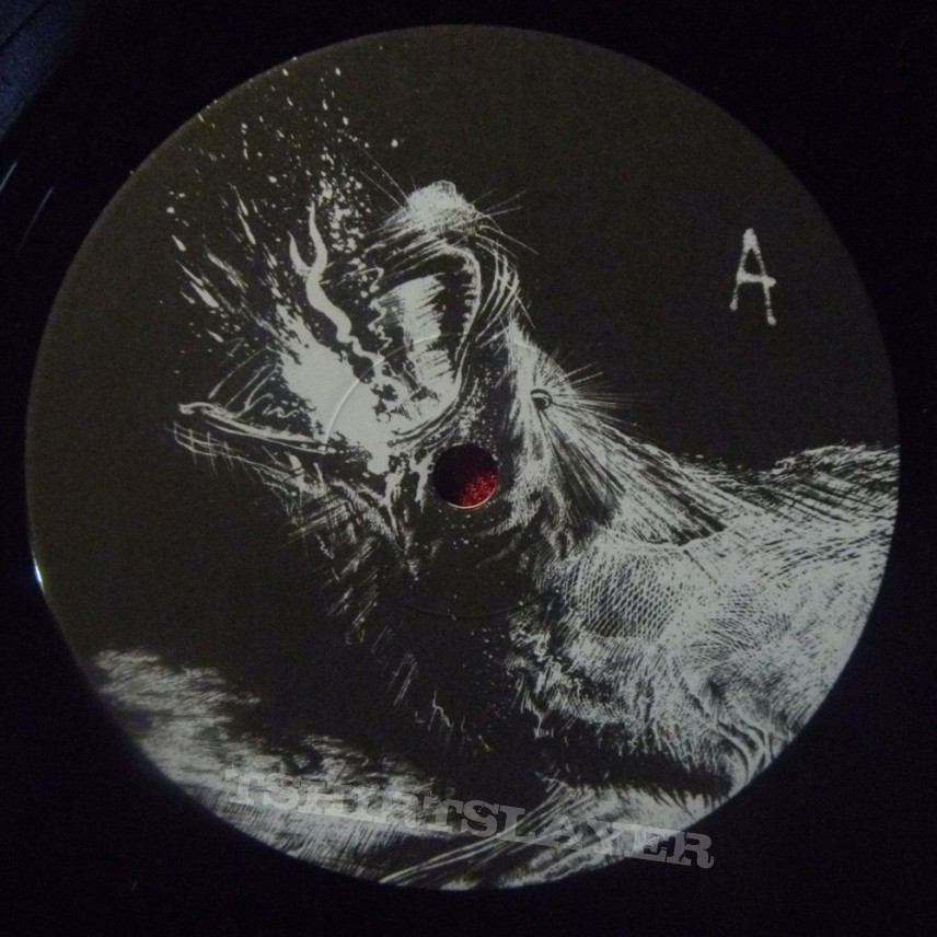 Slayer Vynil Records