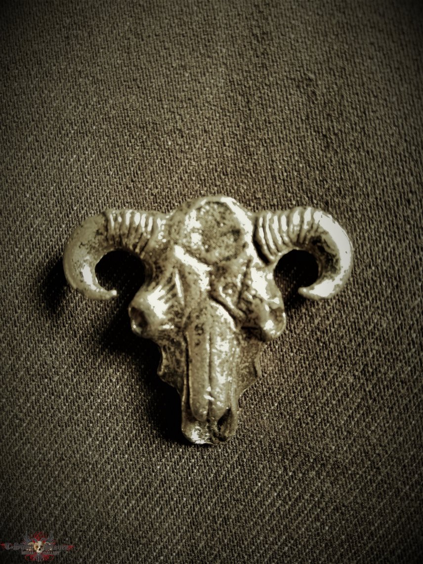 Venom Skull pin.