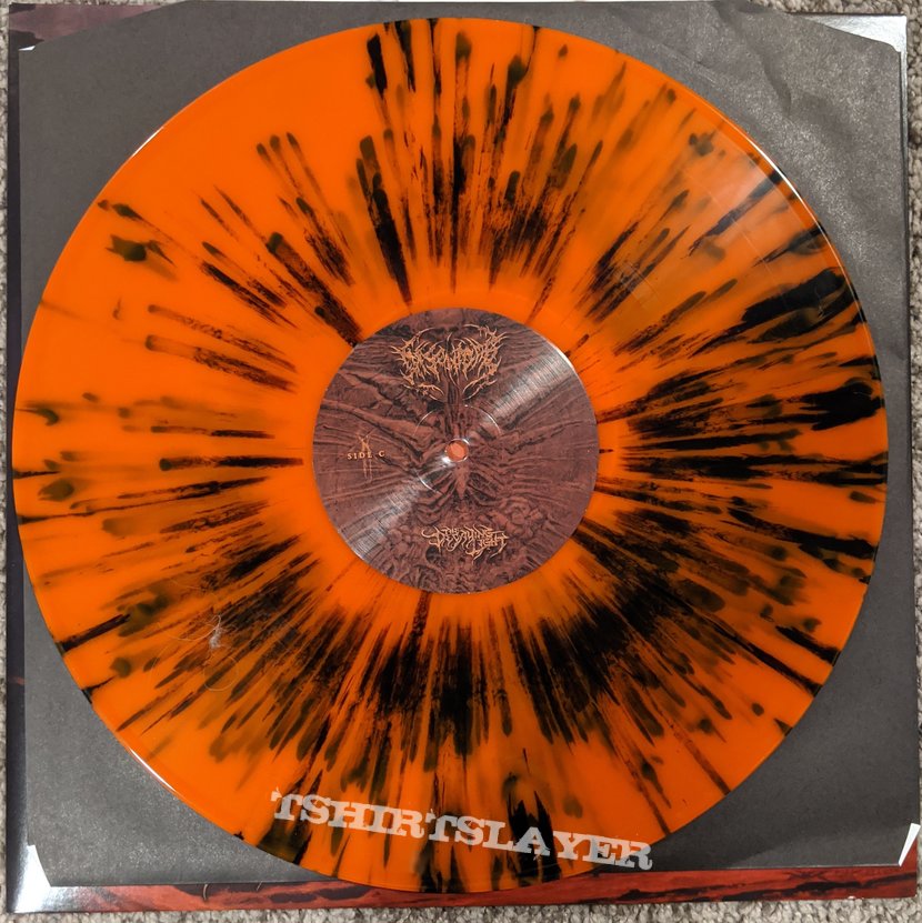 Disentomb - The Decaying Light Vinyl