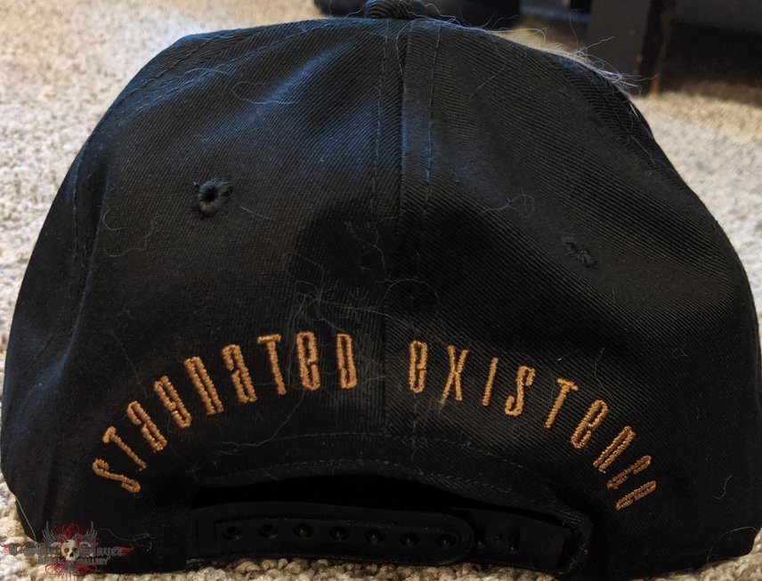 Disavowed Stagnated Existence Snap Back