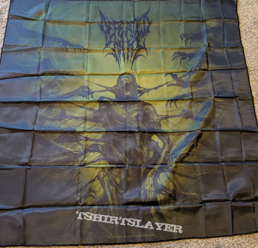 Defeated Sanity Passages Into Deformity Flag