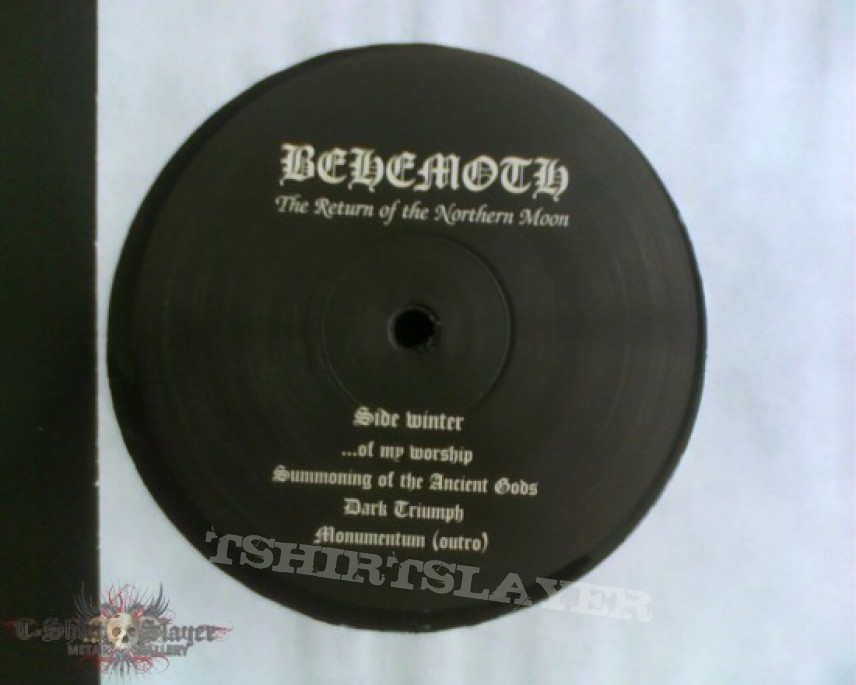 Other Collectable - Behemoth