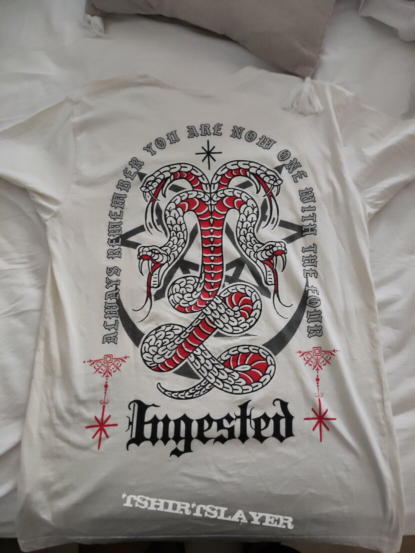 Ingested snake