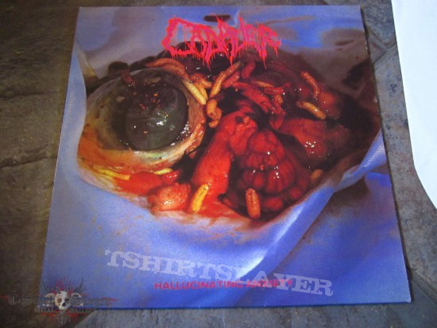 Other Collectable - FOR SALE!!! Cadaver Hallucinating Anxiety LP Earache/Necrosis Records 1990