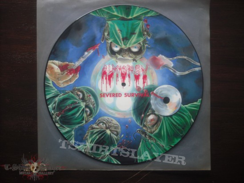 Other Collectable - My picture discs Other Collectable - My picture discs