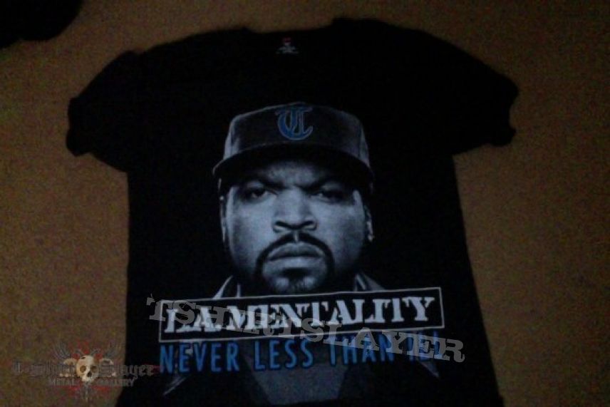 TShirt or Longsleeve - Terror Ice Cube Rip shirt