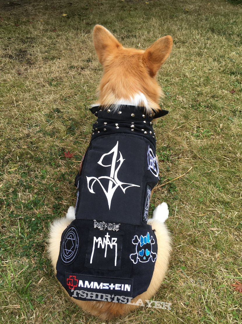 Rotting Christ Metal corgi in her little battle vest 