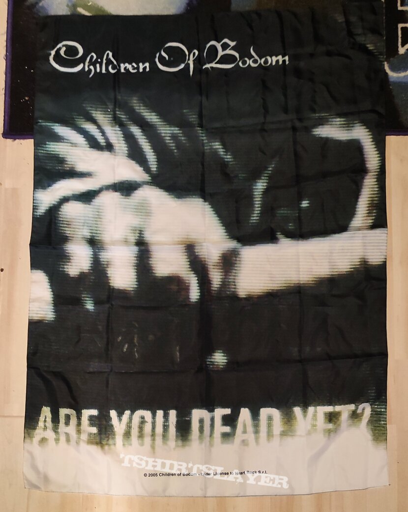 Children Of Bodom Flag - Are You Ready?