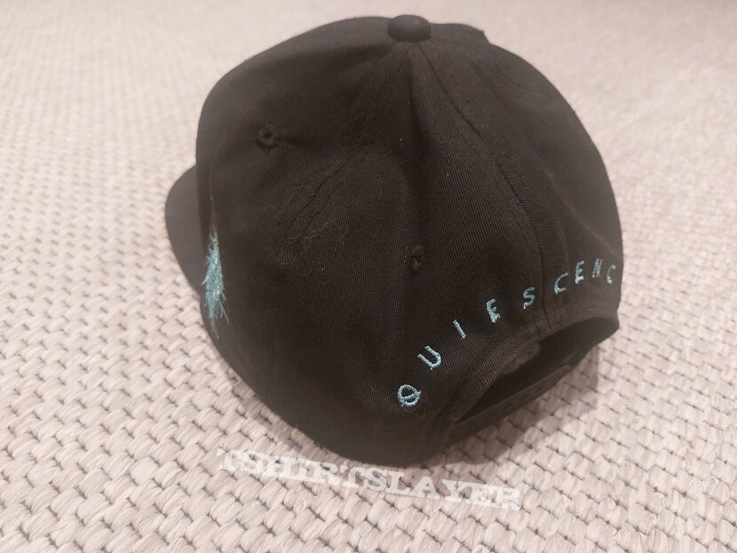 Analepsy - Quiescence - Snapback