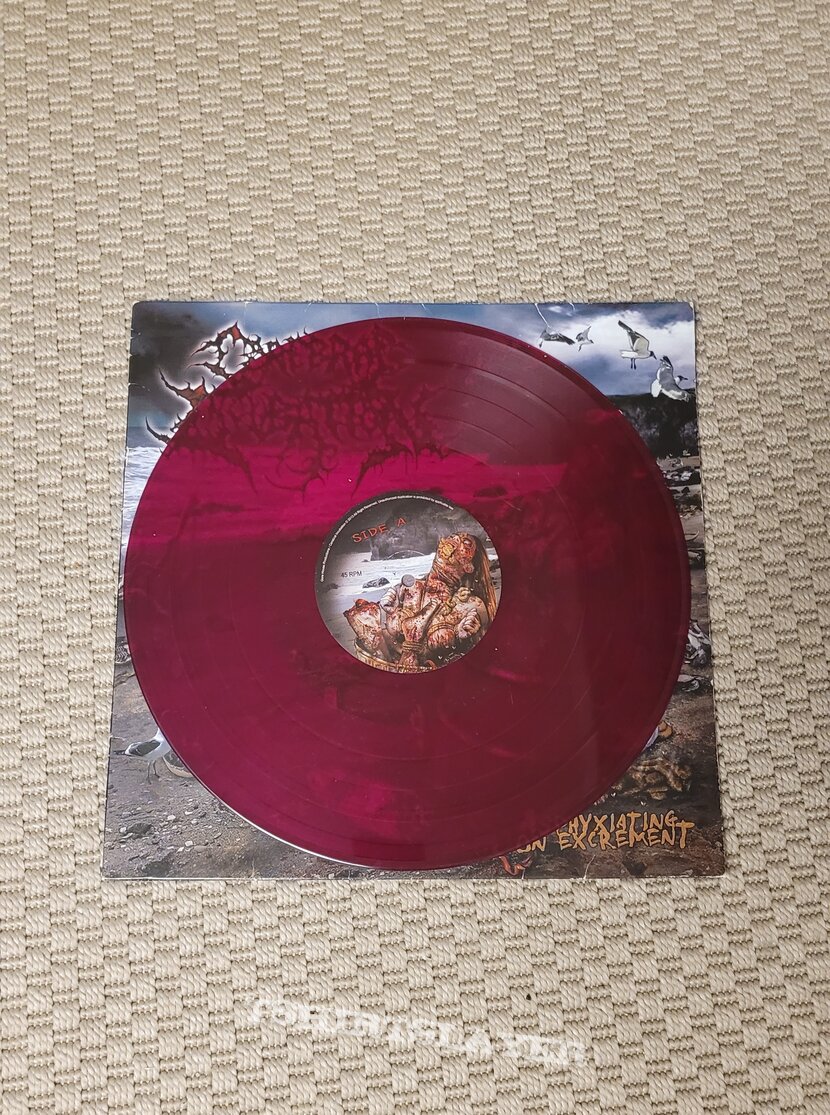 Cerebral Incubation vinyl press